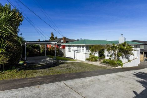 Photo of property in 553 Richardson Road, Mount Roskill, Auckland, 1041