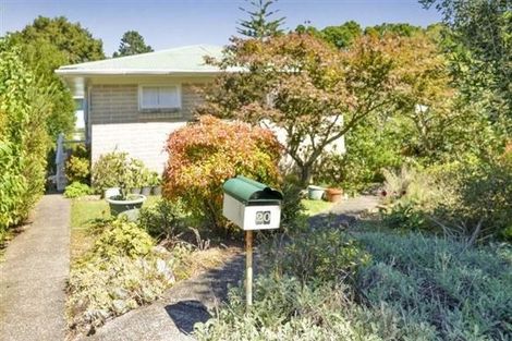 Photo of property in 20 Kelkirk Street, Kelston, Auckland, 0602