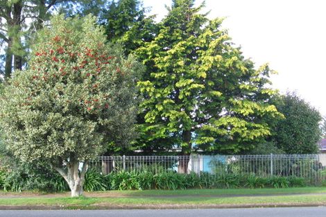 Photo of property in 79 Papanui Street, Tokoroa, 3420