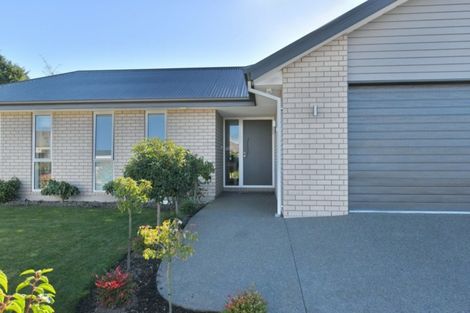 Photo of property in 31 Carmichael Street, Rangiora, 7400