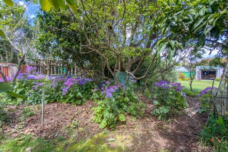 Photo of property in 48 Kon Tiki Road, Whiritoa, Whangamata, 3691