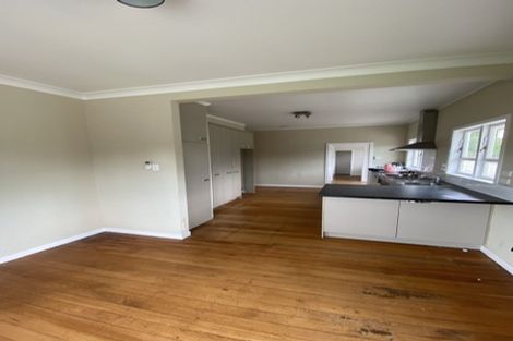 Photo of property in 19 Carey Street, Maeroa, Hamilton, 3200