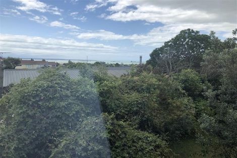 Photo of property in 7 Primrose Place, Richmond, 7020