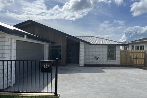 Photo of property in 102 Wensley Road, Richmond, 7020