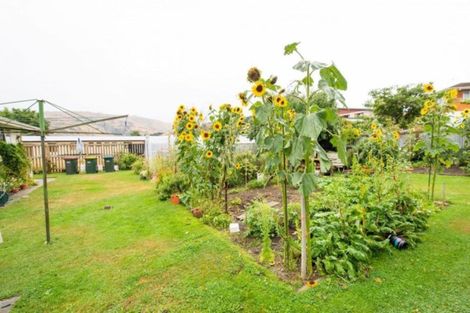 Photo of property in 120 Sunderland Street, Clyde, 9330