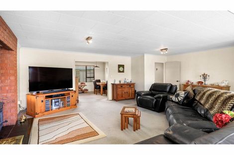 Photo of property in 54 Bringans Street, Alexandra, 9320