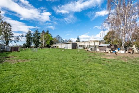 Photo of property in 10 Tollemache Road West, Longlands, Hastings, 4120