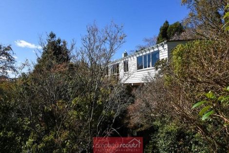 Photo of property in 61 Braeview Crescent, Maori Hill, Dunedin, 9010