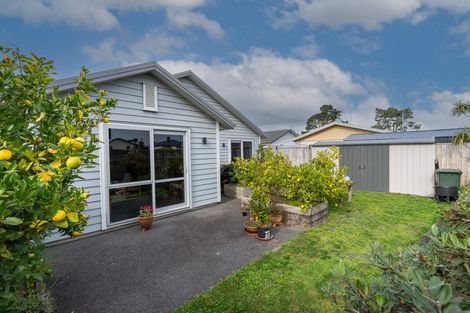 Photo of property in 135 Forest Lake Road, Forest Lake, Hamilton, 3200