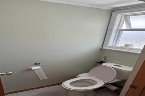 Photo of property in 17 Kotare Street, Aramoho, Whanganui, 4500