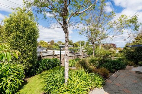 Photo of property in 63 Belford Street, Waverley, Dunedin, 9013