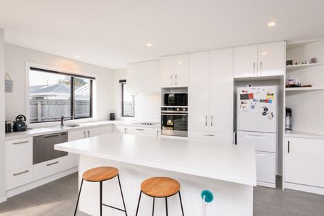 Photo of property in 20a Keith Elliott Street, Feilding, 4702