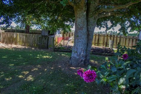Photo of property in 4021 State Highway 29, Te Poi, Matamata, 3473