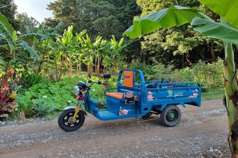 Photo of property in 304 Mangakahia Road, Maungatapere, Whangarei, 0179