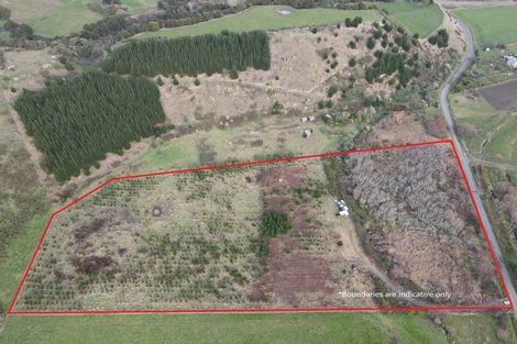 Photo of property in 350 Reu Reu Road, Halcombe, 4779