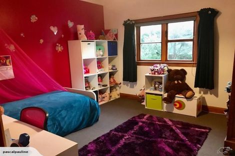 Photo of property in 105b Pahiatua Street, Hokowhitu, Palmerston North, 4410