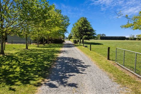 Photo of property in 119 Gartartan Road, Willowby, Ashburton, 7774