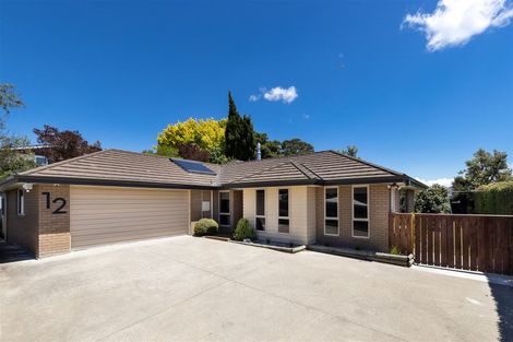 Photo of property in 12 Mcallister Place, Renwick, 7204