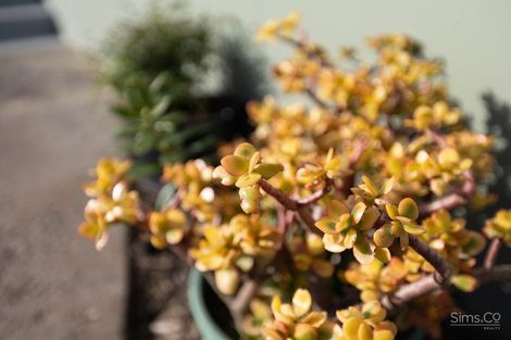 Photo of property in 4 Glenn Street, Castlecliff, Whanganui, 4501