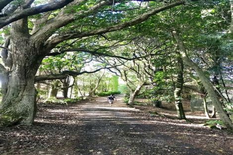 Photo of property in 55 Costello Road, Patumahoe, Pukekohe, 2679