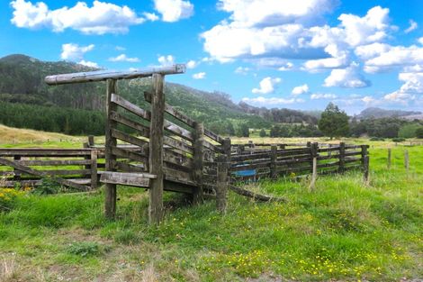 Photo of property in 2218 Tangowahine Valley Road, Tangowahine, Dargaville, 0372