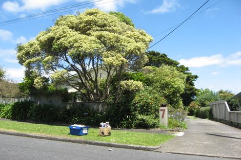 Photo of property in 7 Totara Avenue, Pukekohe, 2120
