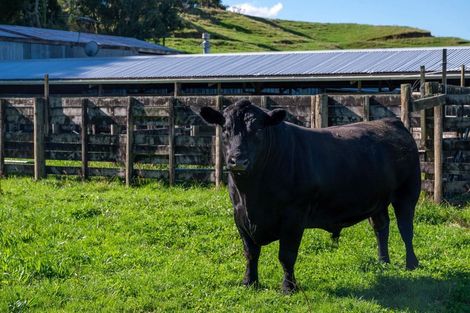 Photo of property in 250 Endean Road, Ngongotaha Valley, Rotorua, 3072