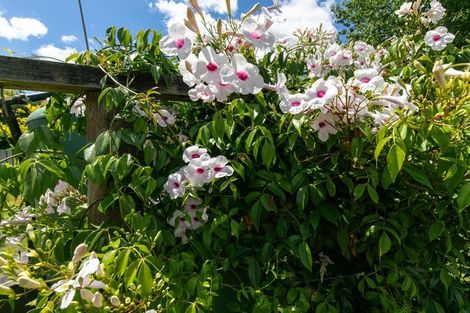 Photo of property in 26c Kauri Lane, Huntly, 3771