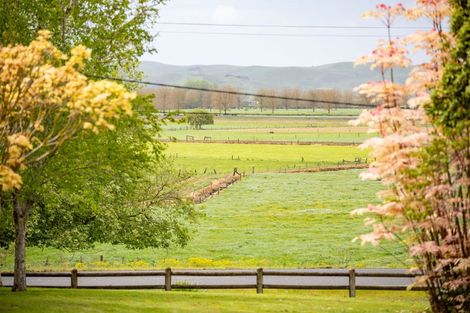 Photo of property in 69 Waverley Road, Gordonton, Hamilton, 3287