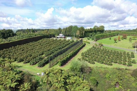 Photo of property in 14 Merrick Road, Pyes Pa, Tauranga, 3173