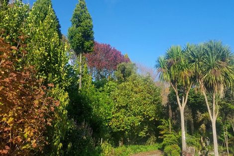 Photo of property in 33 Mokena Kohere Street, Manakau, Levin, 5573