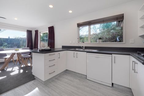 Photo of property in 3 Nina Lane, Somerfield, Christchurch, 8024