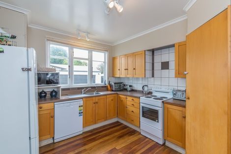 Photo of property in 6 Middlesex Street, Levin, 5510