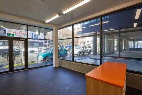 Photo of property in Vsp Nothern Tower, 1/166c Victoria Street, Te Aro, Wellington, 6011