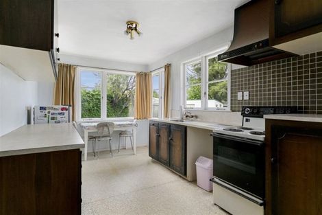 Photo of property in 58 Hinekura Avenue, Taupo, 3330