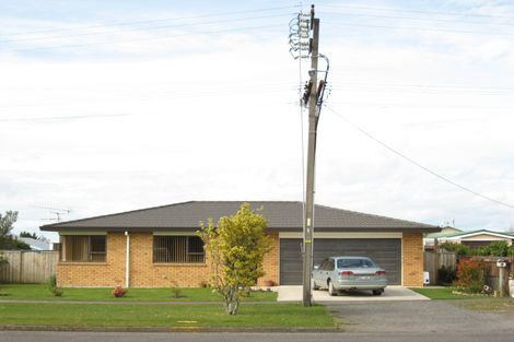 Photo of property in 14 Hamlet Street, Stratford, 4332