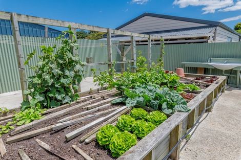 Photo of property in 15a Bovis Street, Shannon, 4821