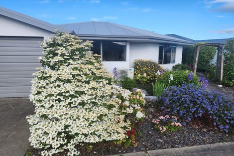 Photo of property in 20 The Drive, Richmond, 7020