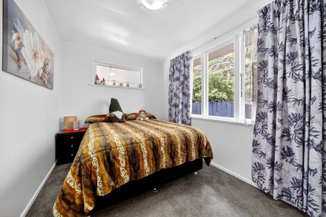 Photo of property in 45 Cockburn Street, Kuripuni, Masterton, 5810