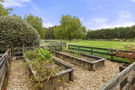 Photo of property in 248a Tauwhare Road, Tamahere, Hamilton, 3283