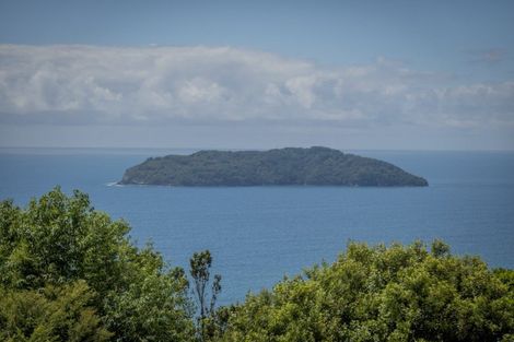 Photo of property in 127 Pumpkin Hill Road, Pumpkin Hill, Whitianga, 3591