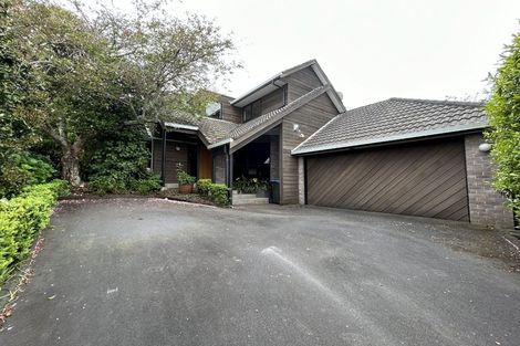 Photo of property in 17a Karetu Road, Greenlane, Auckland, 1051