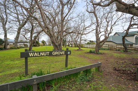 Photo of property in 6 Walnut Grove, Omokoroa, 3114