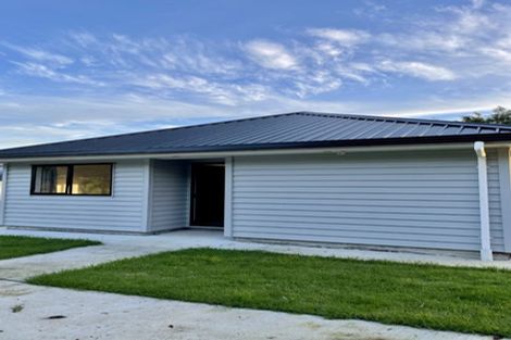 Photo of property in 13 Mcgiven Place, Coatesville, Albany, 0793