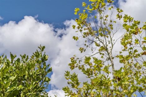 Photo of property in 5g The Prom, Coatesville, 0793