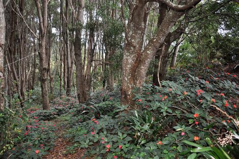 Photo of property in 26 Muncaster Road, Snells Beach, 0920