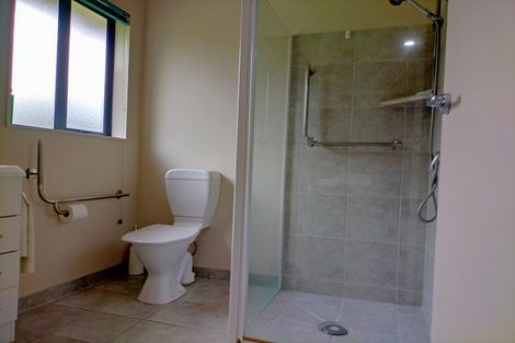 Photo of property in 15 Guinane Street, Dannevirke, 4930