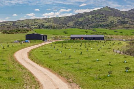 Photo of property in 39 Kordia Way, Waikerikeri, Alexandra, 9391