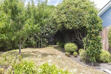 Photo of property in 19 The Brae, Mount Pleasant, Christchurch, 8081