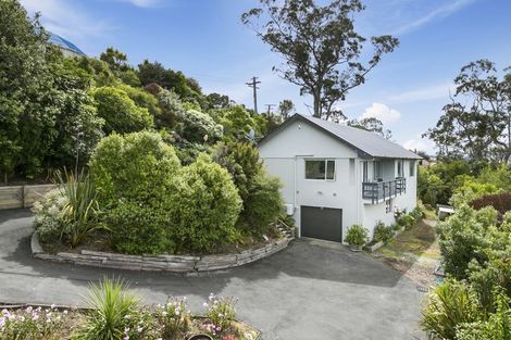 Photo of property in 17 Rotoiti Street, Maia, Dunedin, 9022